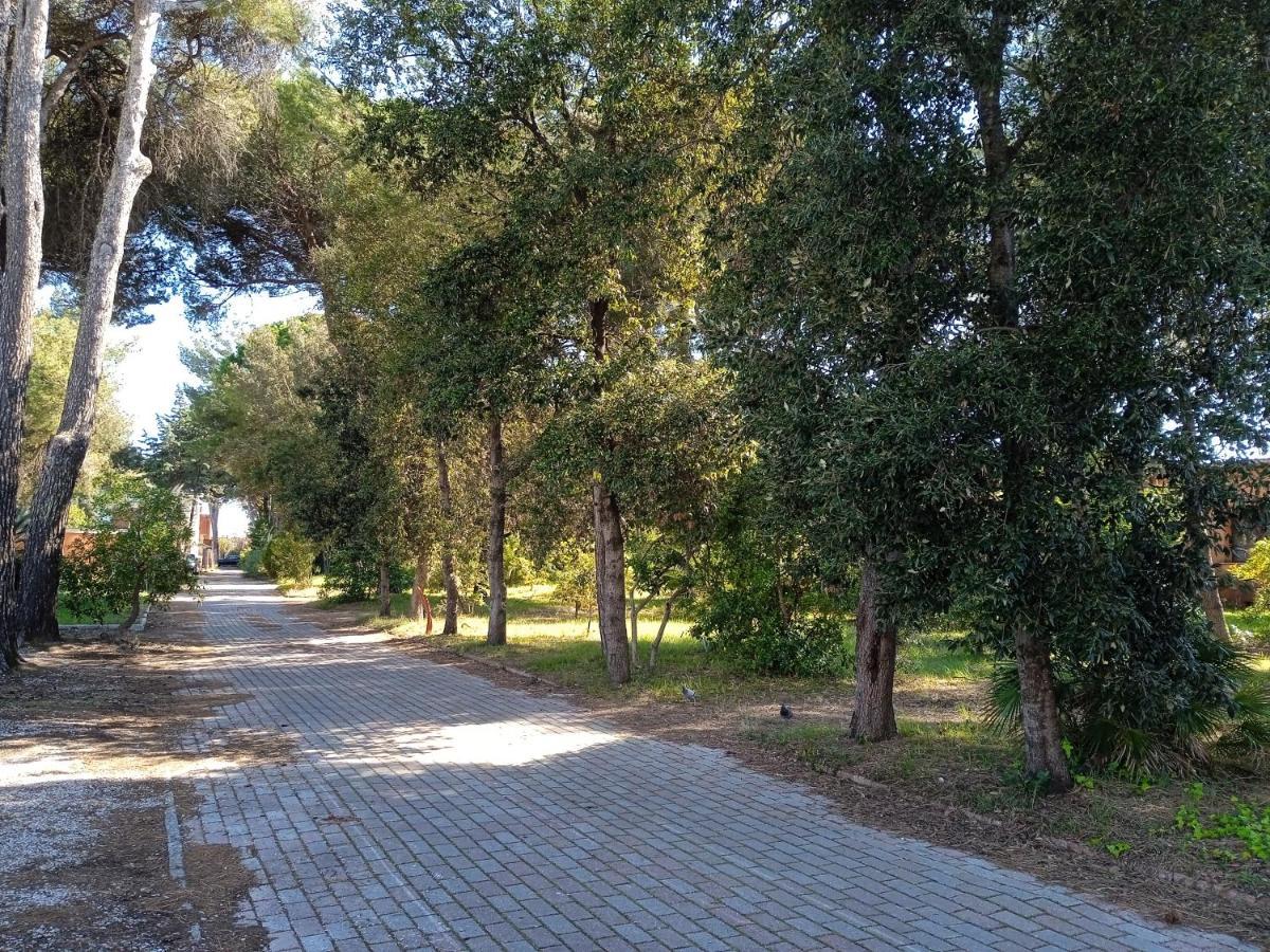 شقة Accesso Diretto Sul Mare Maredilucecala كالامْبْروني المظهر الخارجي الصورة